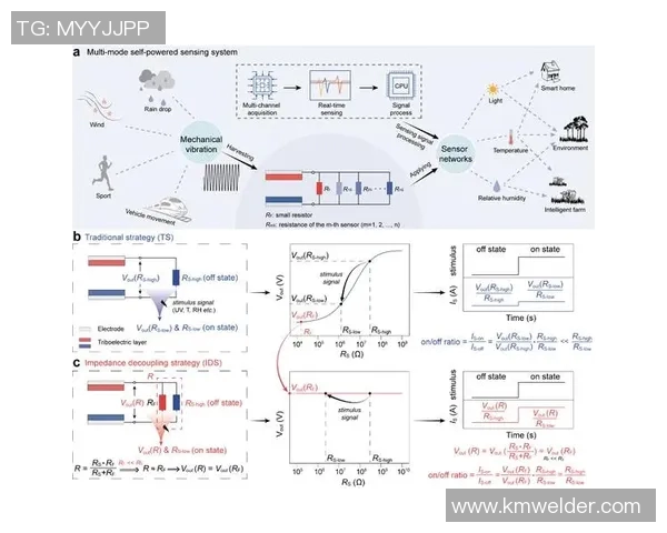 张秀英专访揭秘DOTA2成功背后的策略与团队精神